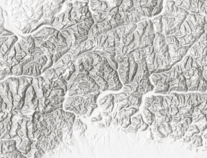 Elevation