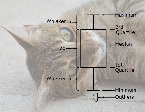 Box plot cat demo
