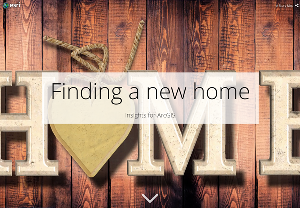 Finding a new home case study