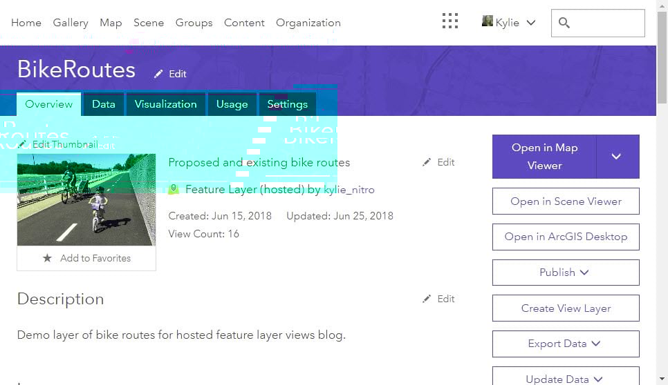 Hosted feature layer item page