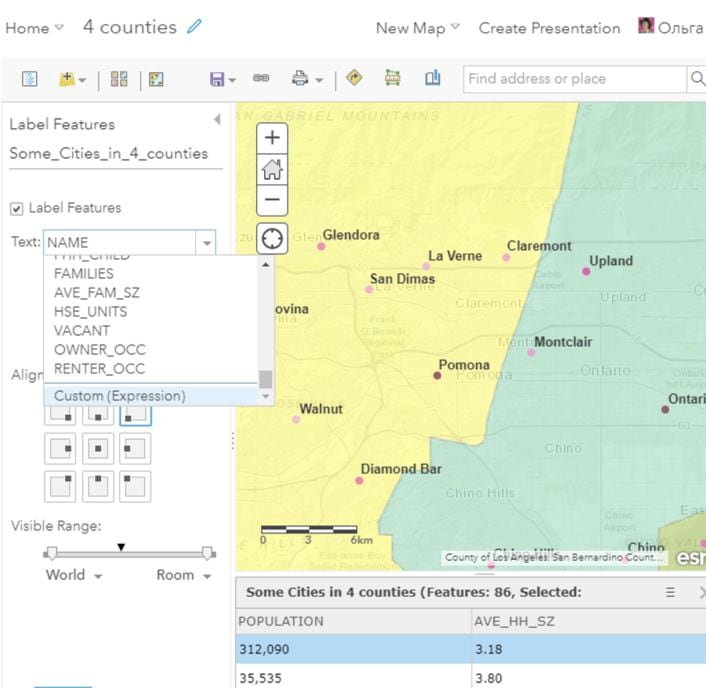Custom Expression for labels