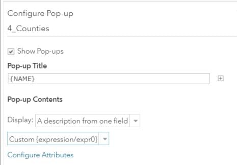 A description from one custom field