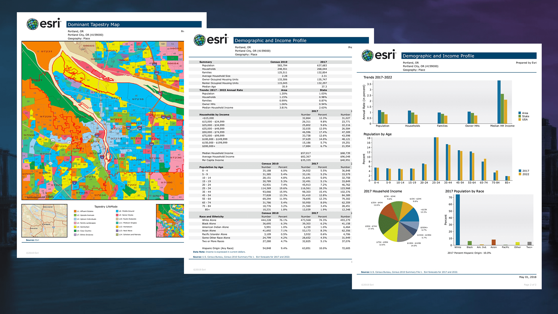 Two reports created using Business Analyst - one dominant tapestry and on demographic and income profile.