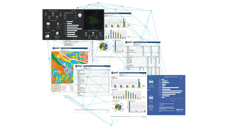 Reports and infographics working together in a digital space.