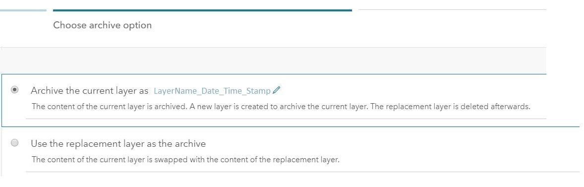 options for archiving in replace Layer
