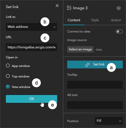 Image widget settings