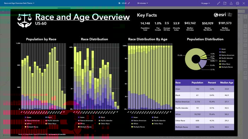 Business Analyst infographic