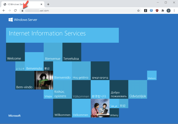 Windows Chrome Browser