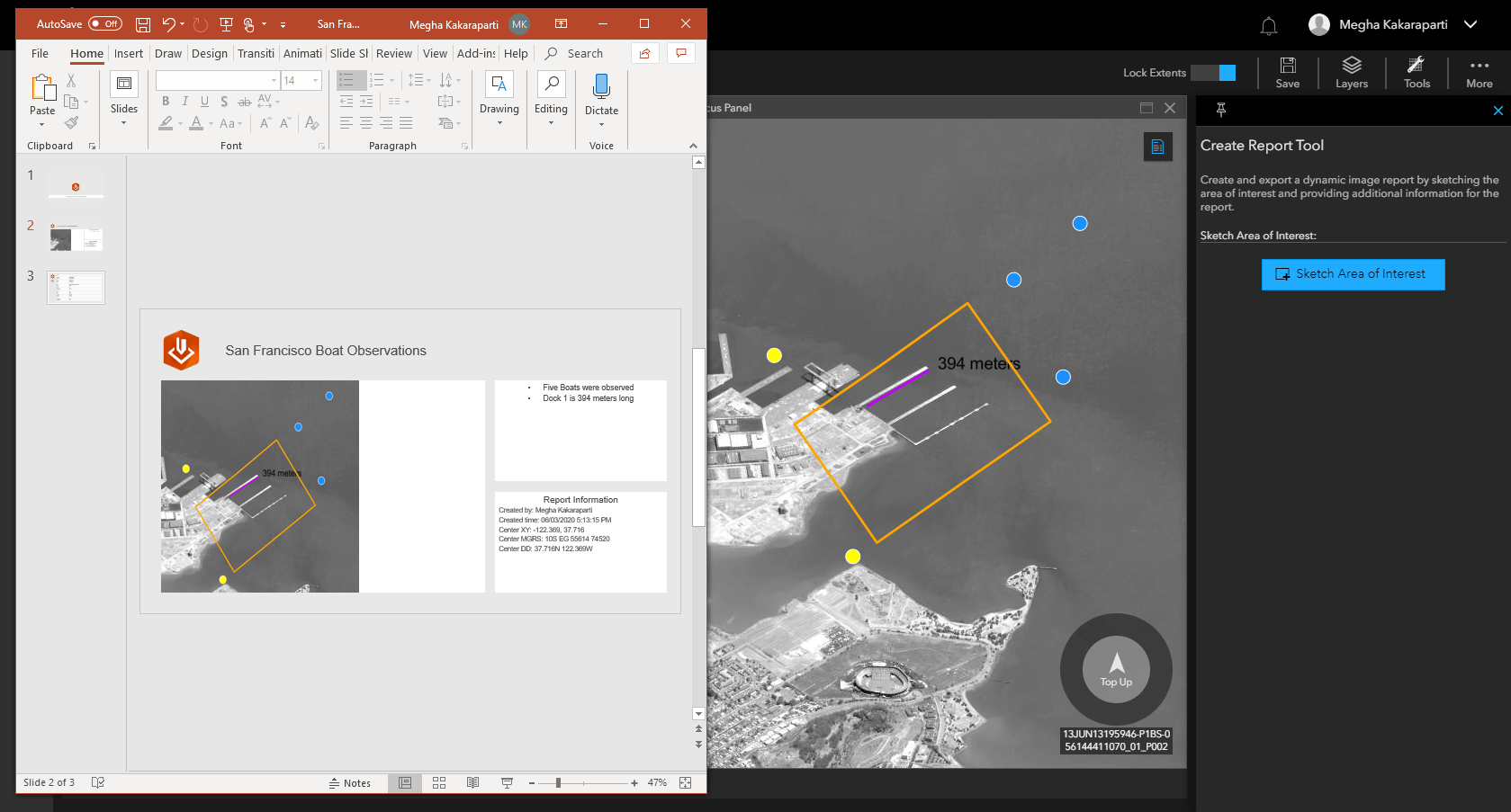 Report tool in ArcGIS Excalibur