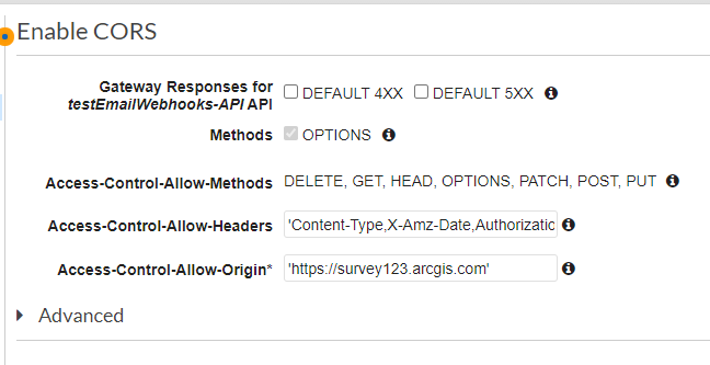 All of the completed options for enabling CORS on the API Gateway.