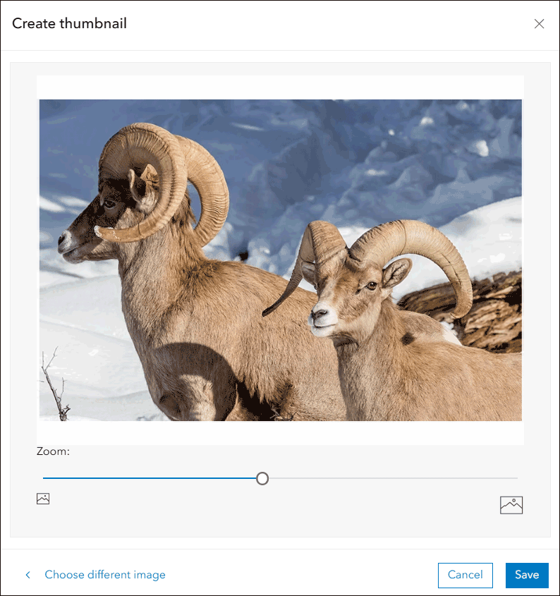 Adjust positioning and zoom