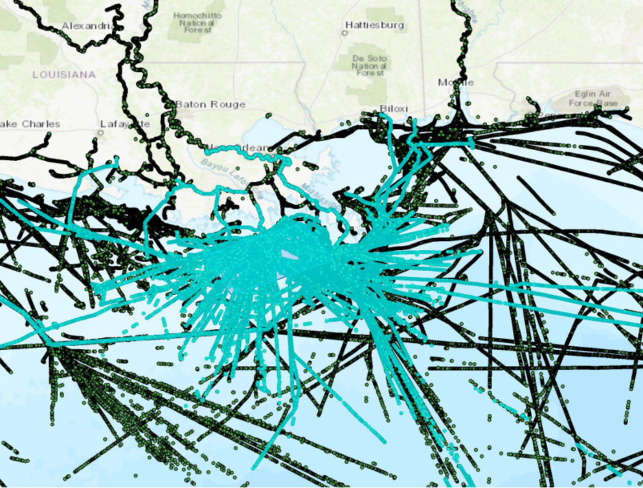Result of Select Movement Tracks with some tracks highlighted in the map.