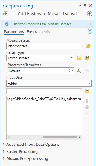 Add Rasters to Mosaic Dataset Tool