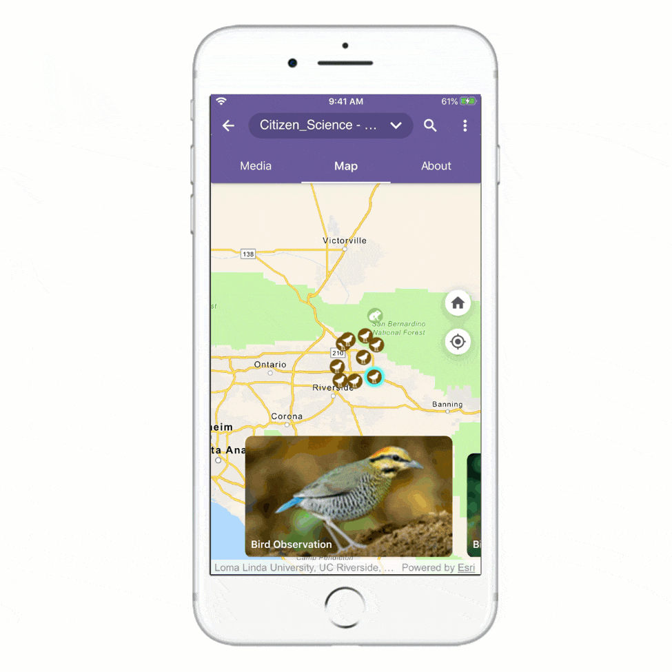 Offline - Attachment Viewer