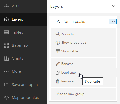 Duplicate layers