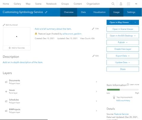 Feature Service item details