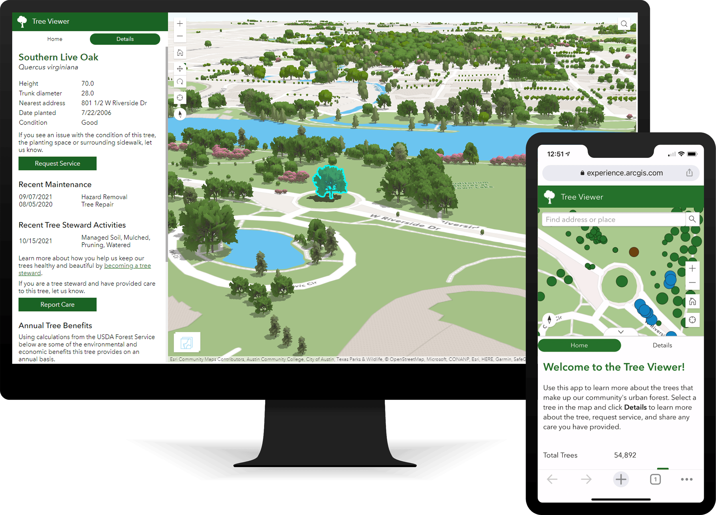 Image of park with highlighted tree.