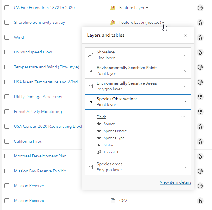Feature layer preview