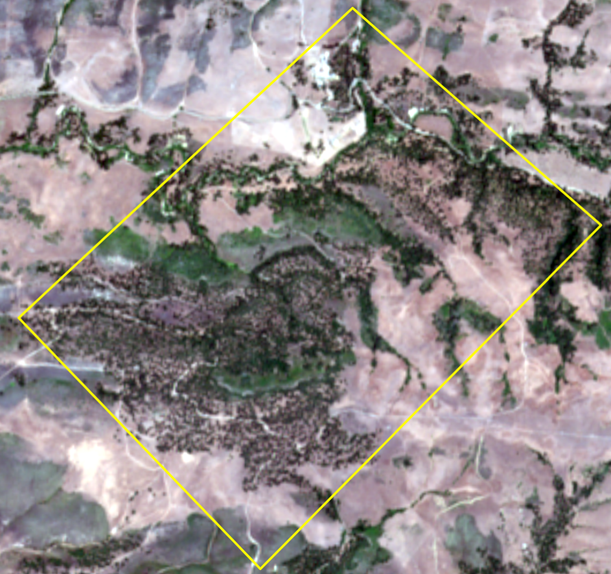 Sentinel imagery layer with preserve