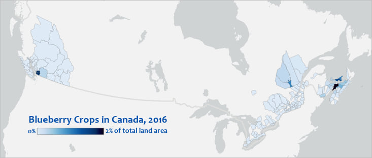 Map of blueberry crops in Canada