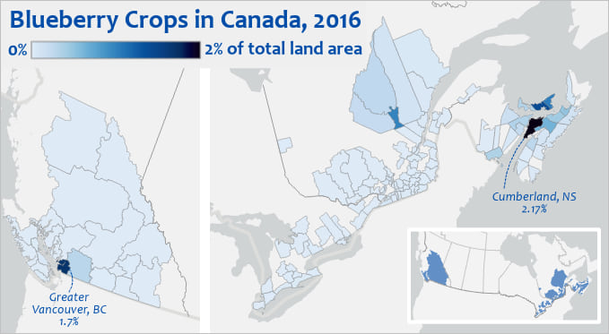 Map of blueberry crops on the west and east coasts of Canada