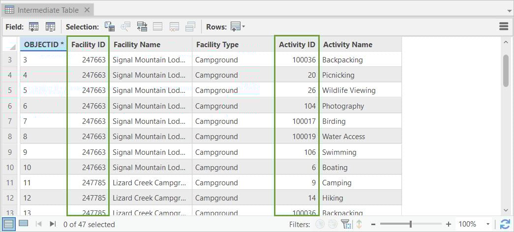 Intermediate table attributes