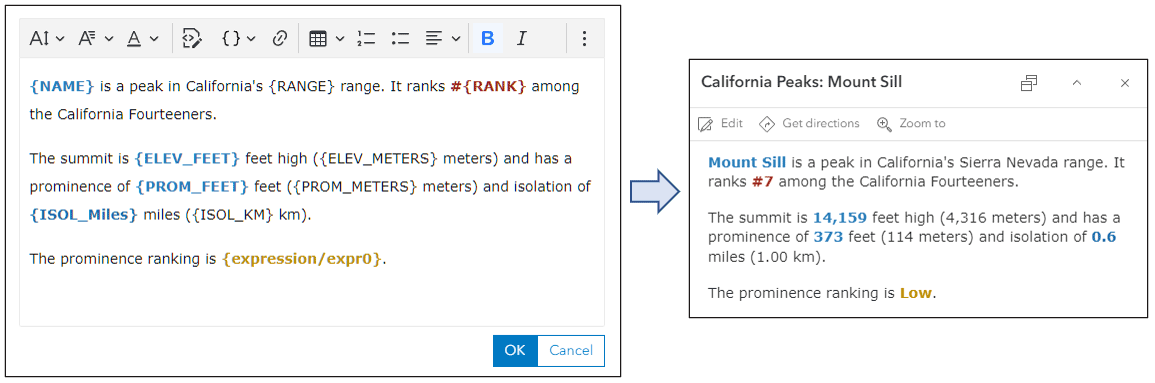 Text element using Arcade expressions