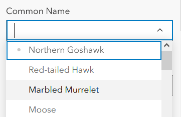 Combo box pick list options