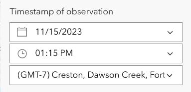 Timestamp offset field input for form