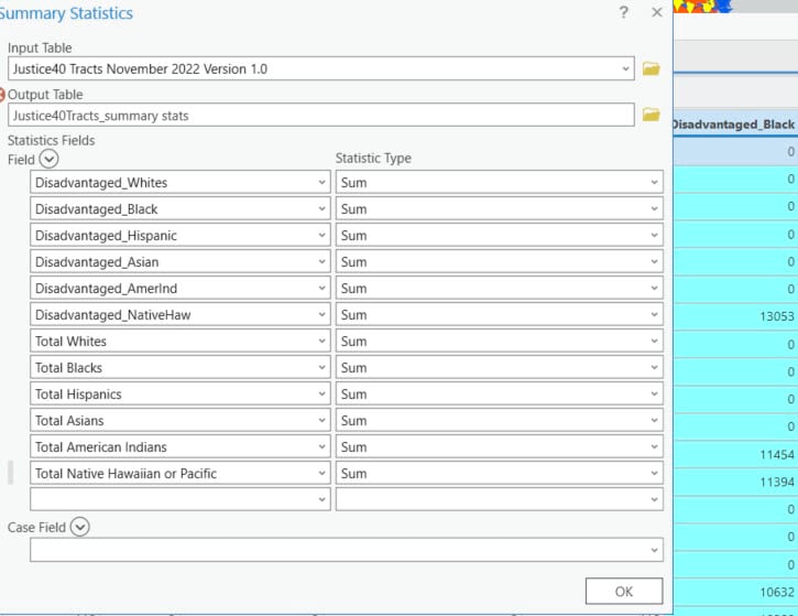 The image depicts a view of the Summary Statistics window used to Summarize the number of each group’s disadvantaged population.