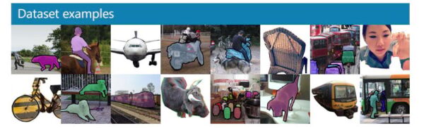 Virtually all images in the COCO dataset are oblique