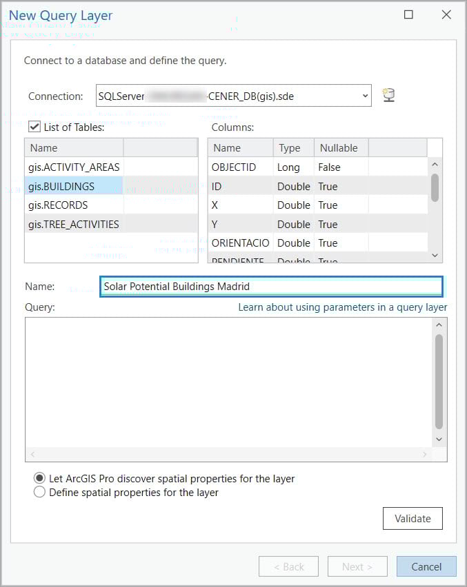 The query layer name