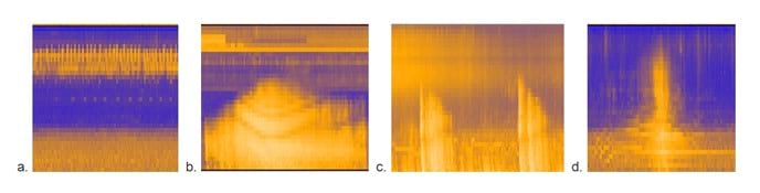 Sounds occur in different frequency ranges: bird song, jet, thunder, and vehicle. Brighter yellow indicates louder sounds