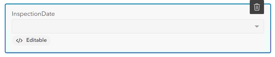Inspection Date field with editable label