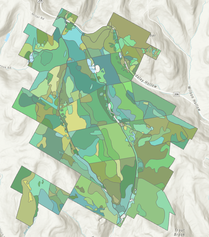 Forest stand polygons in New York