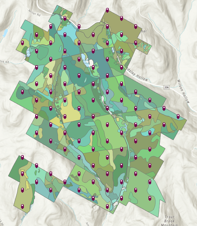 Systematic sampling design