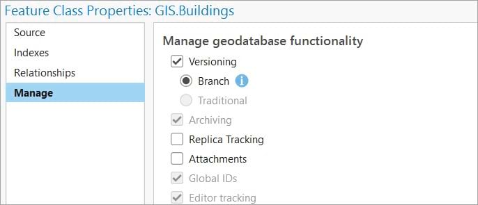 Feature class with branch versioning enabled