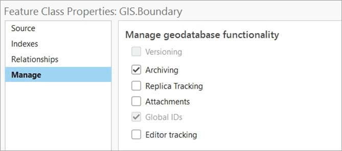 Feature class with archiving enabled