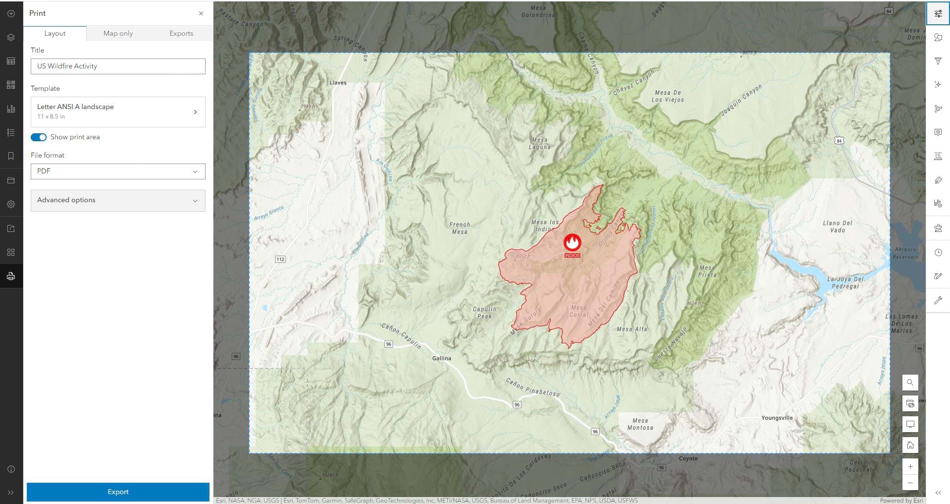 An image showing how the print preview option appears in Map Viewer.
