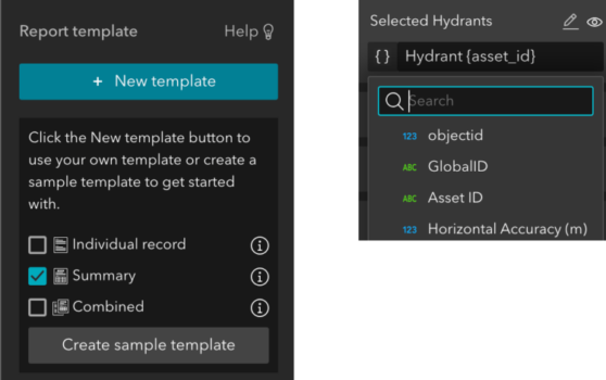 Feature Report settings