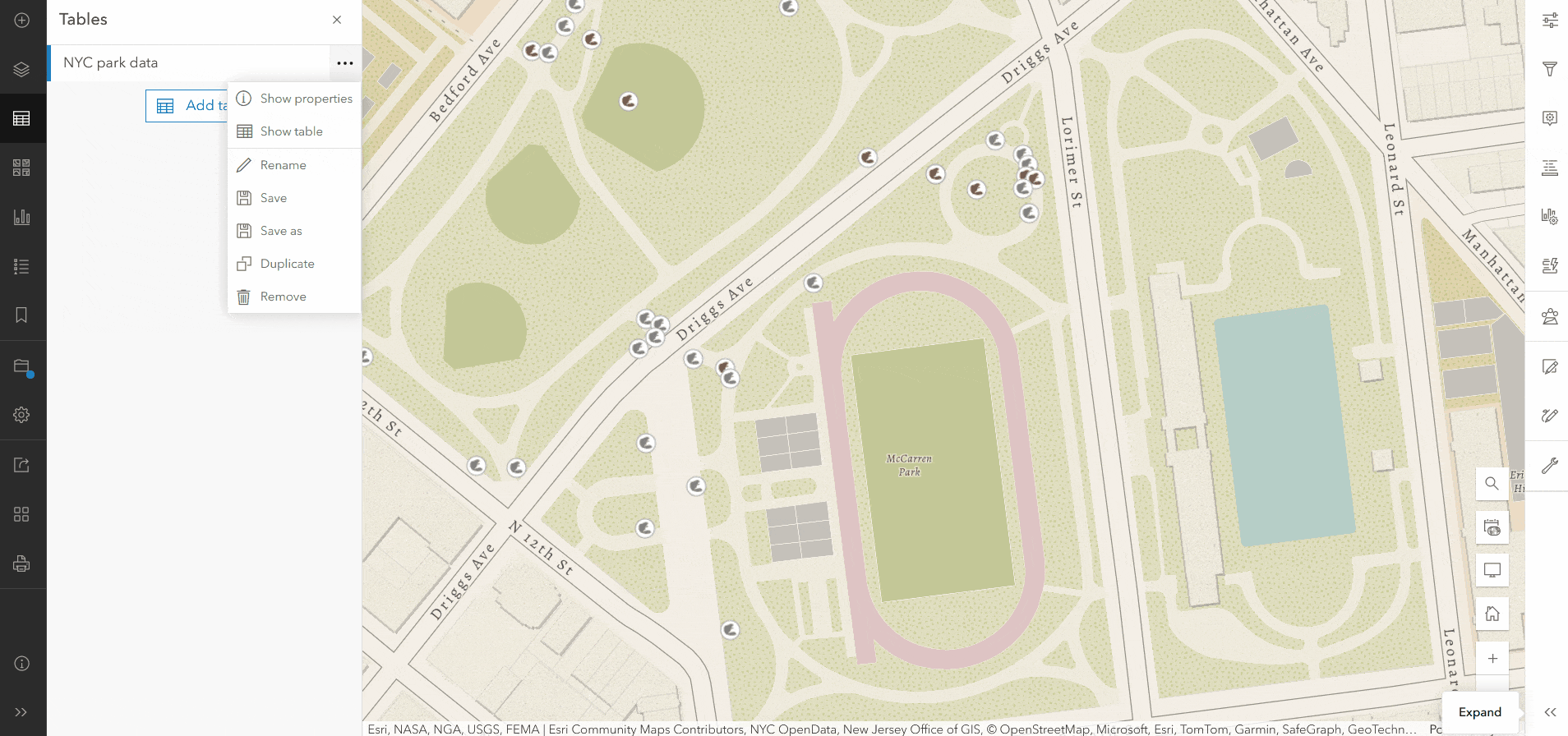 GIF demonstrates launching the Editor pane from the attribute table to see a preconfigured form for a table layer.