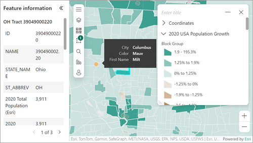 Feature information pane as pop-up