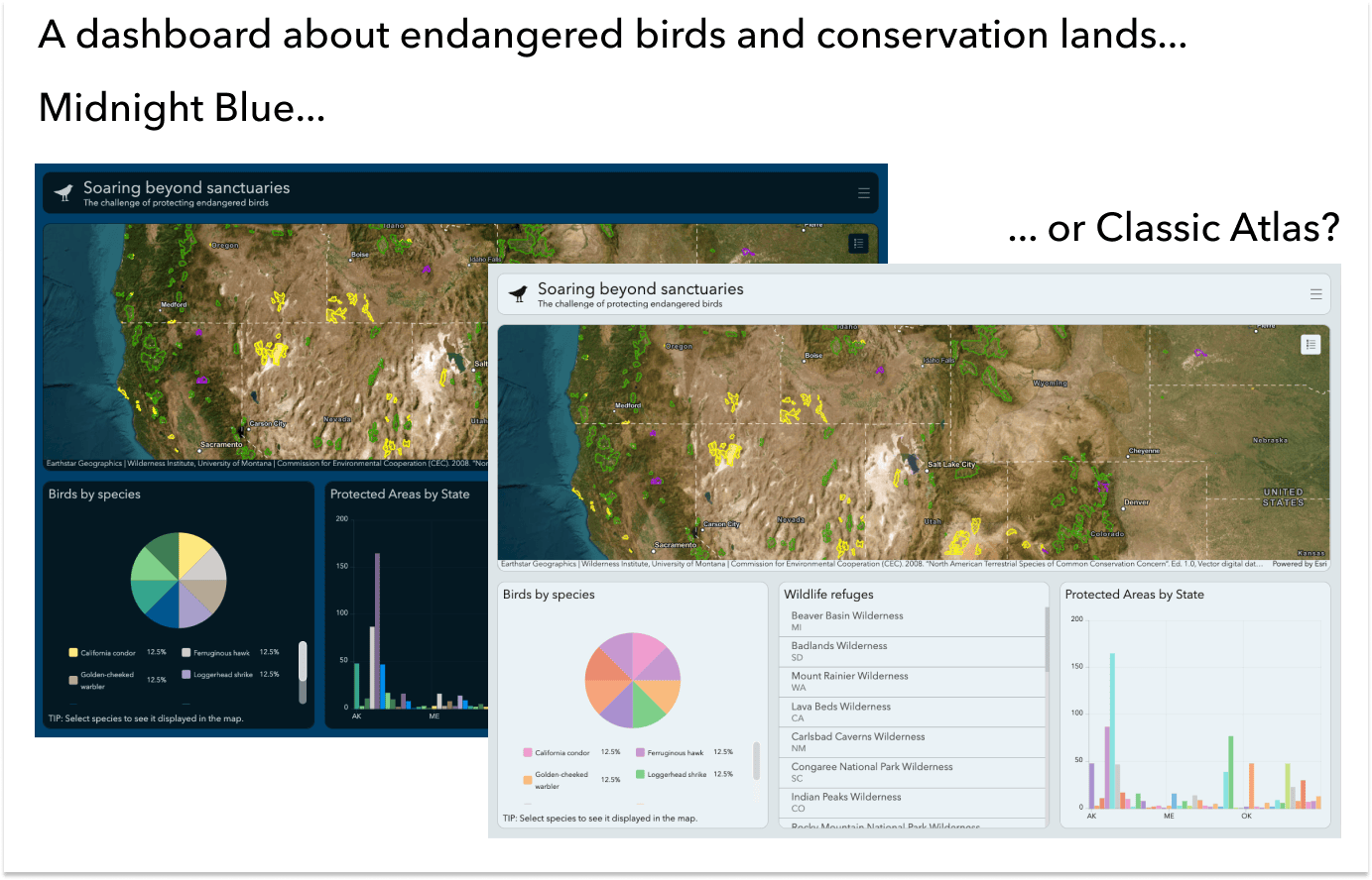 compare themes birds