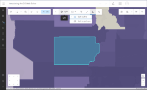 ArcGIS Web Editor