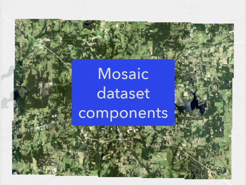 Mosaic dataset components