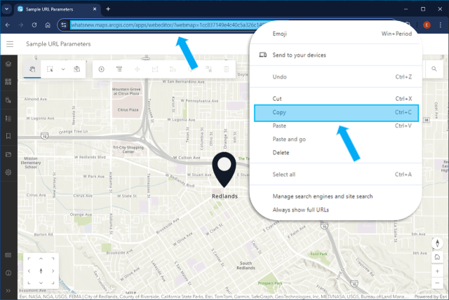 Copy the web map URL in the address bar