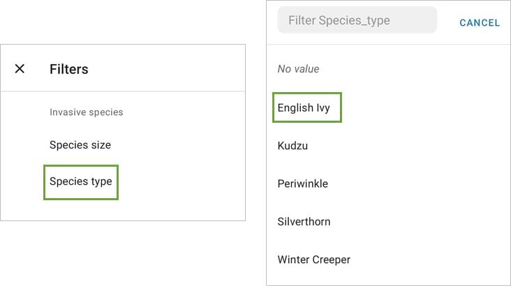 Filter field and value