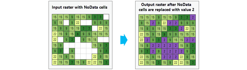 Replace NoData cells with a constant value