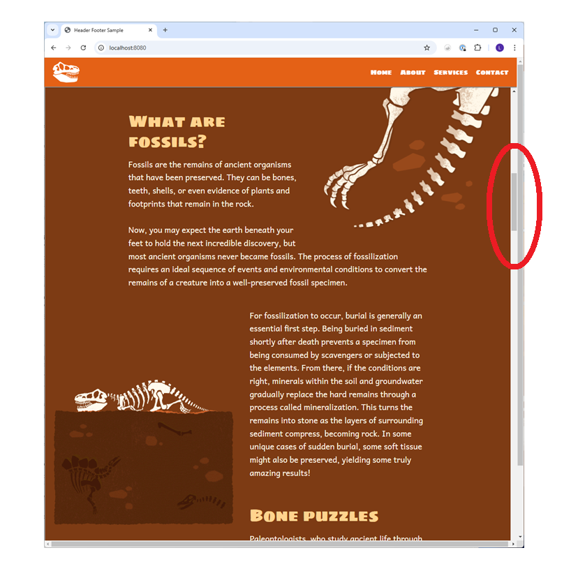 web page with two vertical scroll bars, one right next to the other