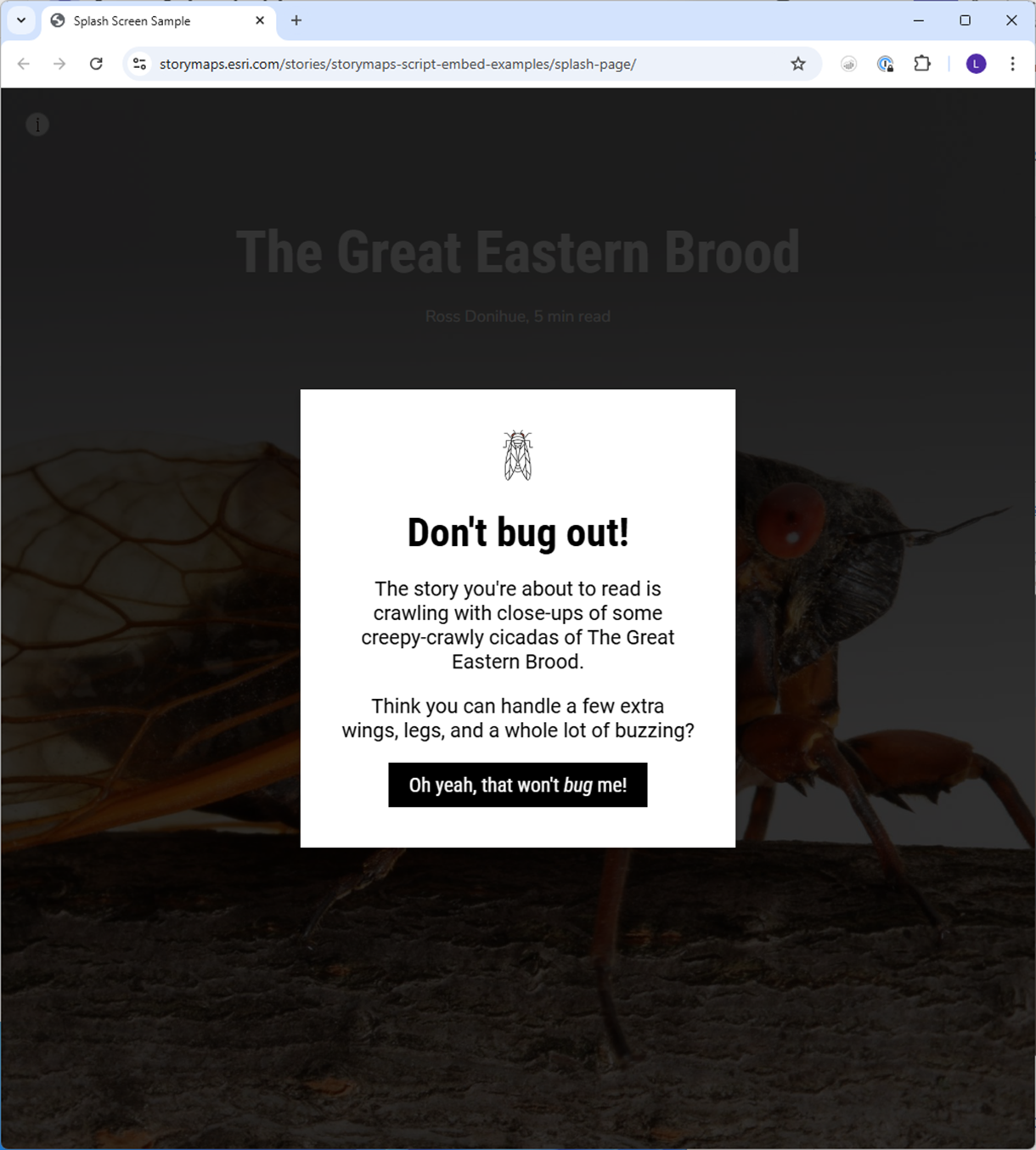 web page with a modal splash popup